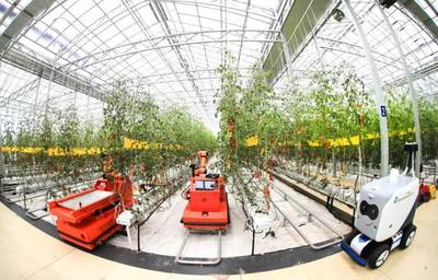 點點手機就能管理大棚，濰坊壽光以數字化賦能蔬菜產業升級